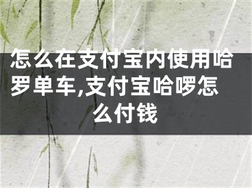 怎么在支付宝内使用哈罗单车,支付宝哈啰怎么付钱