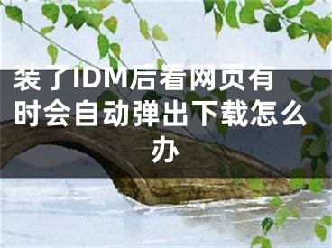 装了IDM后看网页有时会自动弹出下载怎么办