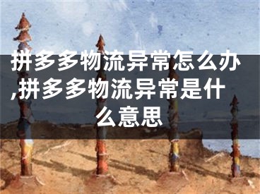 拼多多物流异常怎么办,拼多多物流异常是什么意思