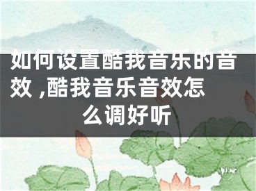 如何设置酷我音乐的音效 ,酷我音乐音效怎么调好听