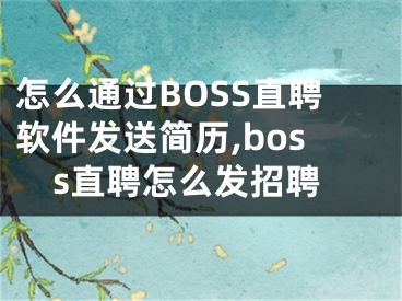 怎么通过BOSS直聘软件发送简历,boss直聘怎么发招聘