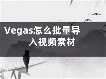 Vegas怎么批量导入视频素材