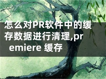 怎么对PR软件中的缓存数据进行清理,premiere 缓存