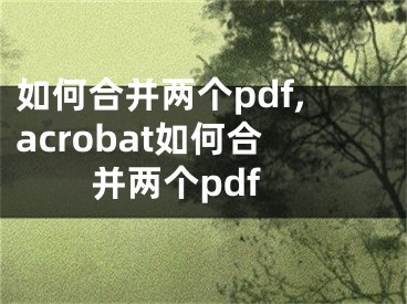 如何合并两个pdf,acrobat如何合并两个pdf