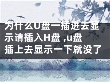 为什么U盘一插进去显示请插入H盘 ,u盘插上去显示一下就没了