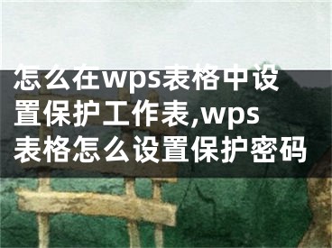 怎么在wps表格中设置保护工作表,wps表格怎么设置保护密码