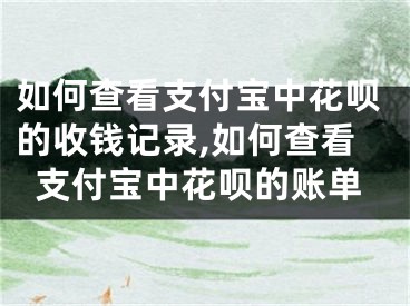 如何查看支付宝中花呗的收钱记录,如何查看支付宝中花呗的账单