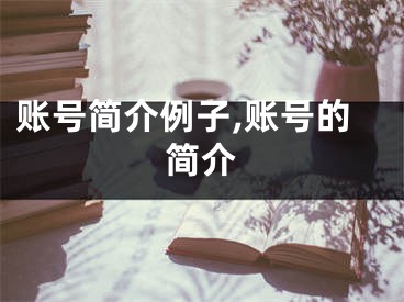 账号简介例子,账号的简介