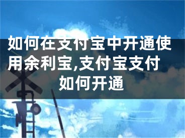如何在支付宝中开通使用余利宝,支付宝支付如何开通