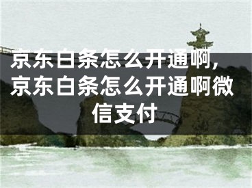京东白条怎么开通啊,京东白条怎么开通啊微信支付