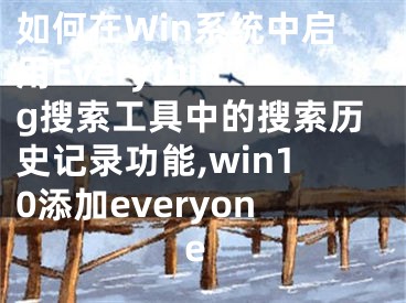如何在Win系统中启用Everything搜索工具中的搜索历史记录功能,win10添加everyone
