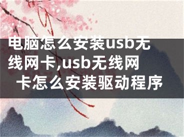 电脑怎么安装usb无线网卡,usb无线网卡怎么安装驱动程序