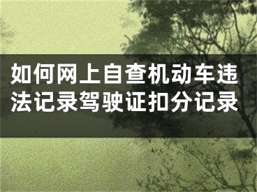 如何网上自查机动车违法记录驾驶证扣分记录