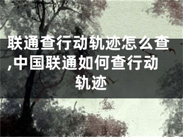 联通查行动轨迹怎么查,中国联通如何查行动轨迹