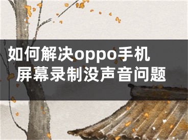 如何解决oppo手机屏幕录制没声音问题