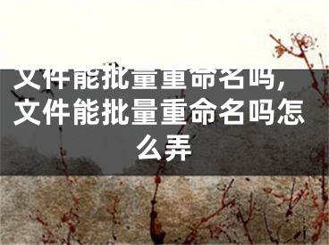 文件能批量重命名吗,文件能批量重命名吗怎么弄