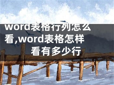 word表格行列怎么看,word表格怎样看有多少行
