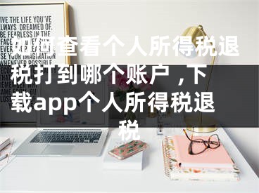 如何查看个人所得税退税打到哪个账户 ,下载app个人所得税退税