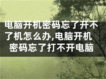 电脑开机密码忘了开不了机怎么办,电脑开机密码忘了打不开电脑