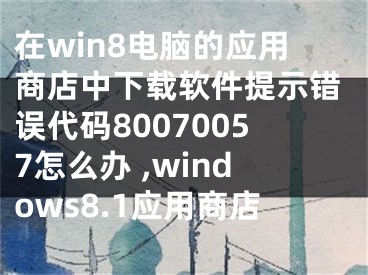 在win8电脑的应用商店中下载软件提示错误代码80070057怎么办 ,windows8.1应用商店