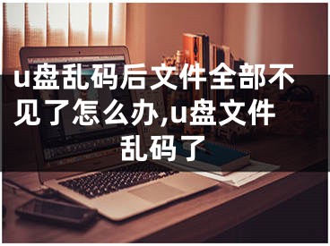 u盘乱码后文件全部不见了怎么办,u盘文件乱码了