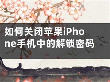 如何关闭苹果iPhone手机中的解锁密码