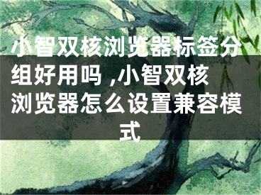 小智双核浏览器标签分组好用吗 ,小智双核浏览器怎么设置兼容模式