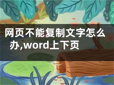 网页不能复制文字怎么办,word上下页