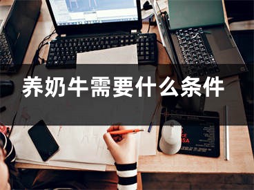 养奶牛需要什么条件