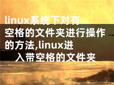 linux系统下对有空格的文件夹进行操作的方法,linux进入带空格的文件夹