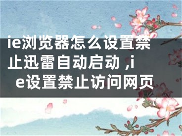 ie浏览器怎么设置禁止迅雷自动启动 ,ie设置禁止访问网页