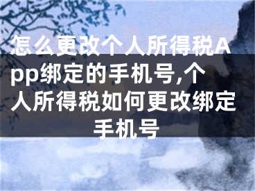 怎么更改个人所得税App绑定的手机号,个人所得税如何更改绑定手机号