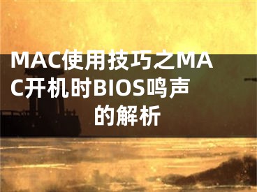MAC使用技巧之MAC开机时BIOS鸣声的解析