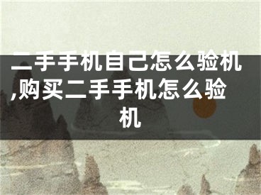 二手手机自己怎么验机,购买二手手机怎么验机