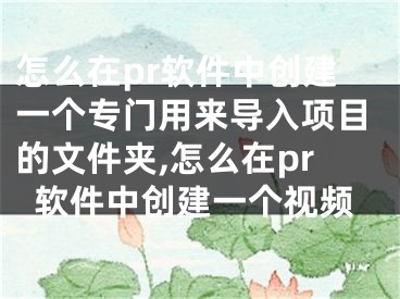 怎么在pr软件中创建一个专门用来导入项目的文件夹,怎么在pr软件中创建一个视频