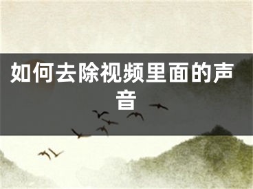 如何去除视频里面的声音