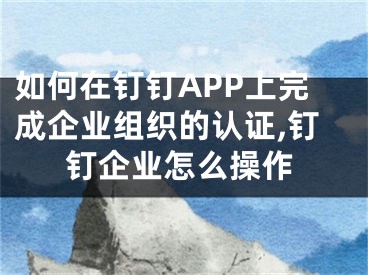 如何在钉钉APP上完成企业组织的认证,钉钉企业怎么操作