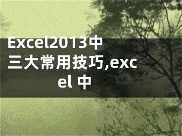 Excel2013中三大常用技巧,excel 中