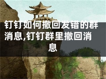钉钉如何撤回发错的群消息,钉钉群里撤回消息