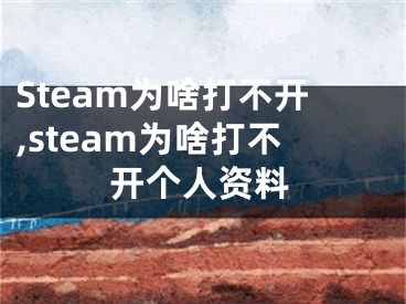 Steam为啥打不开,steam为啥打不开个人资料