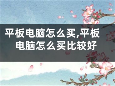 平板电脑怎么买,平板电脑怎么买比较好