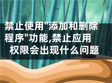 禁止使用"添加和删除程序"功能,禁止应用权限会出现什么问题