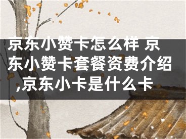 京东小赞卡怎么样 京东小赞卡套餐资费介绍,京东小卡是什么卡