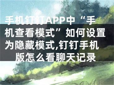 手机钉钉APP中“手机查看模式”如何设置为隐藏模式,钉钉手机版怎么看聊天记录
