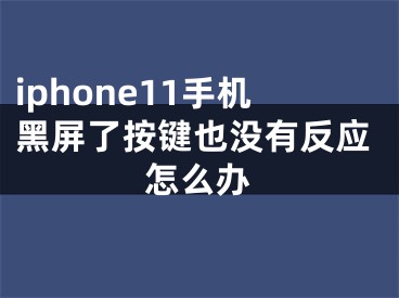 iphone11手机黑屏了按键也没有反应怎么办