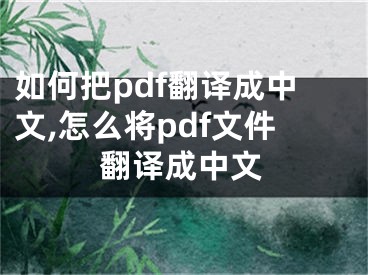 如何把pdf翻译成中文,怎么将pdf文件翻译成中文