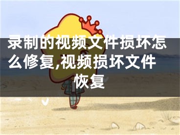 录制的视频文件损坏怎么修复,视频损坏文件恢复