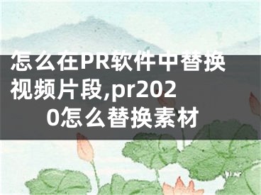 怎么在PR软件中替换视频片段,pr2020怎么替换素材