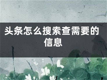 头条怎么搜索查需要的信息