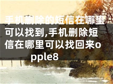 手机删除的短信在哪里可以找到,手机删除短信在哪里可以找回来opple8